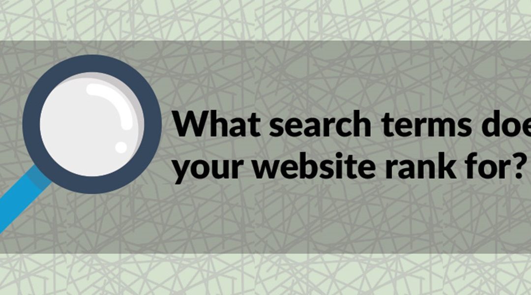 For what search terms does my website rank?